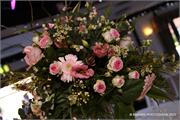 PINK-11