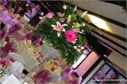 PINK-27