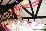 PINK-40