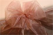 PINK-6