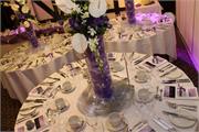 PURPLE-6