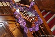 PURPLE-9