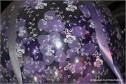 PURPLE8