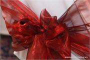 RED-1