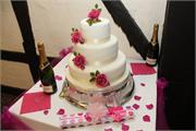 pink-99