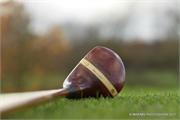 golf2