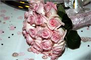 PINK-14