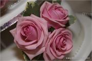 pink5